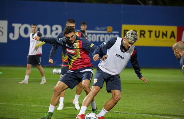 Imagini de la antrenamentul României » Rădoi a avut lotul complet