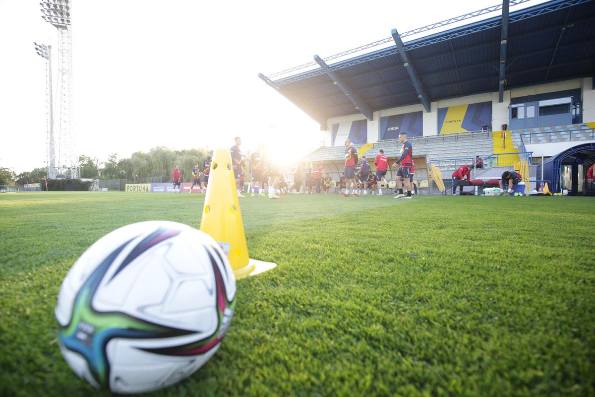 Imagini de la antrenamentul României » Rădoi a avut lotul complet