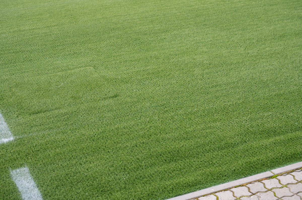 Ce o așteaptă pe FCSB în duelul cu Silkeborg: „Doamne, e bine dacă ieși întreg!”