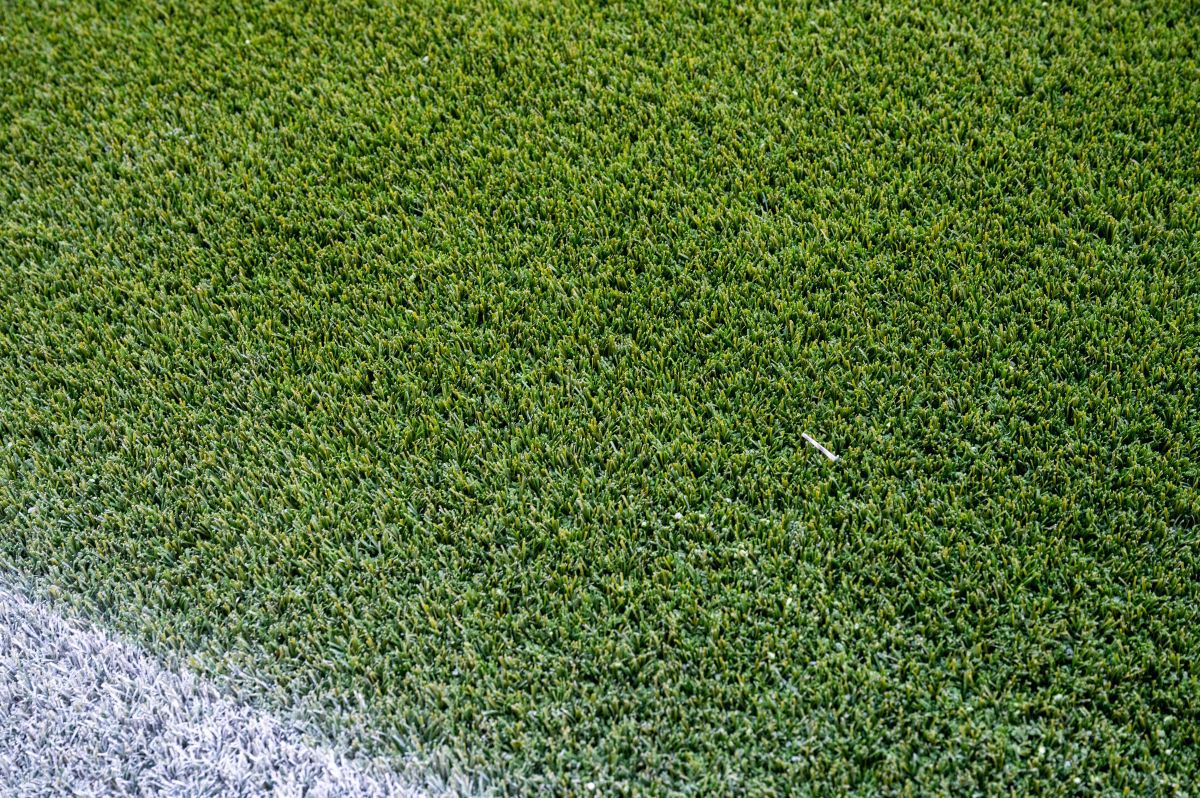 Ce o așteaptă pe FCSB în duelul cu Silkeborg: „Doamne, e bine dacă ieși întreg!”