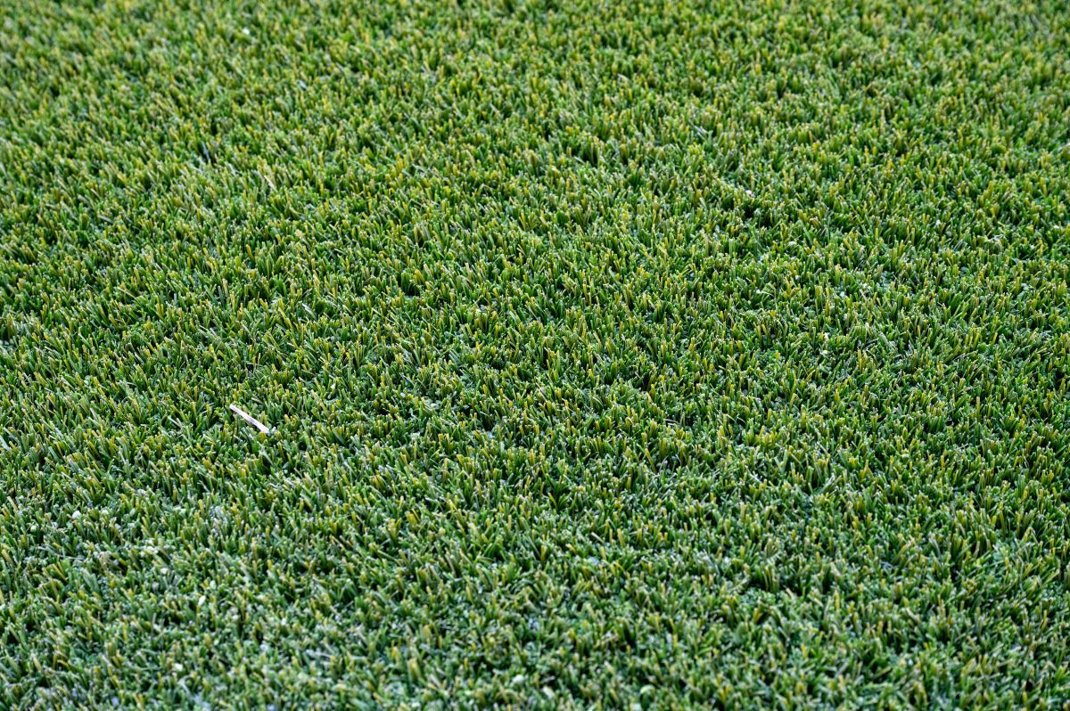 Ce o așteaptă pe FCSB în duelul cu Silkeborg: „Doamne, e bine dacă ieși întreg!”