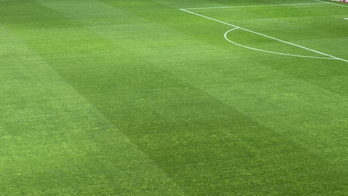 Rapid - Farul, imagini înaintea partidei din Giulești