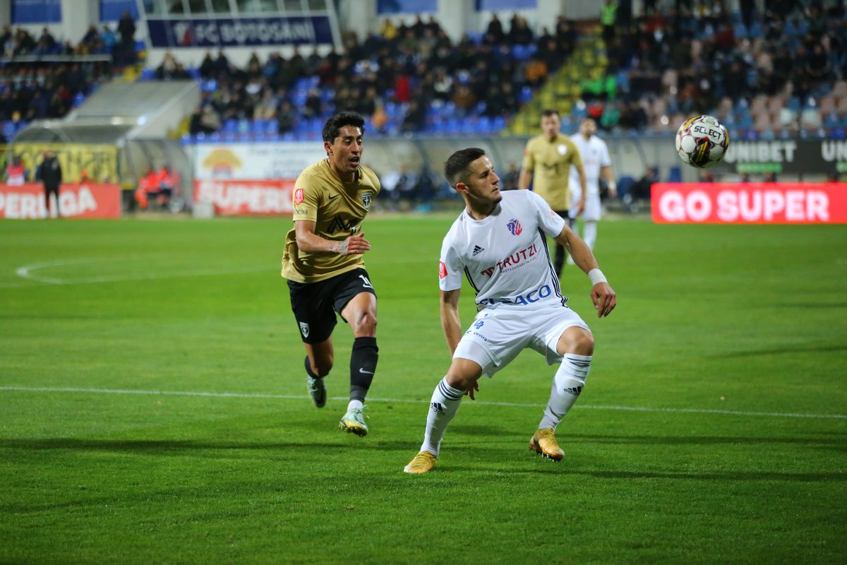 FC Botoșani - FC Voluntari, etapa #17 Liga 1