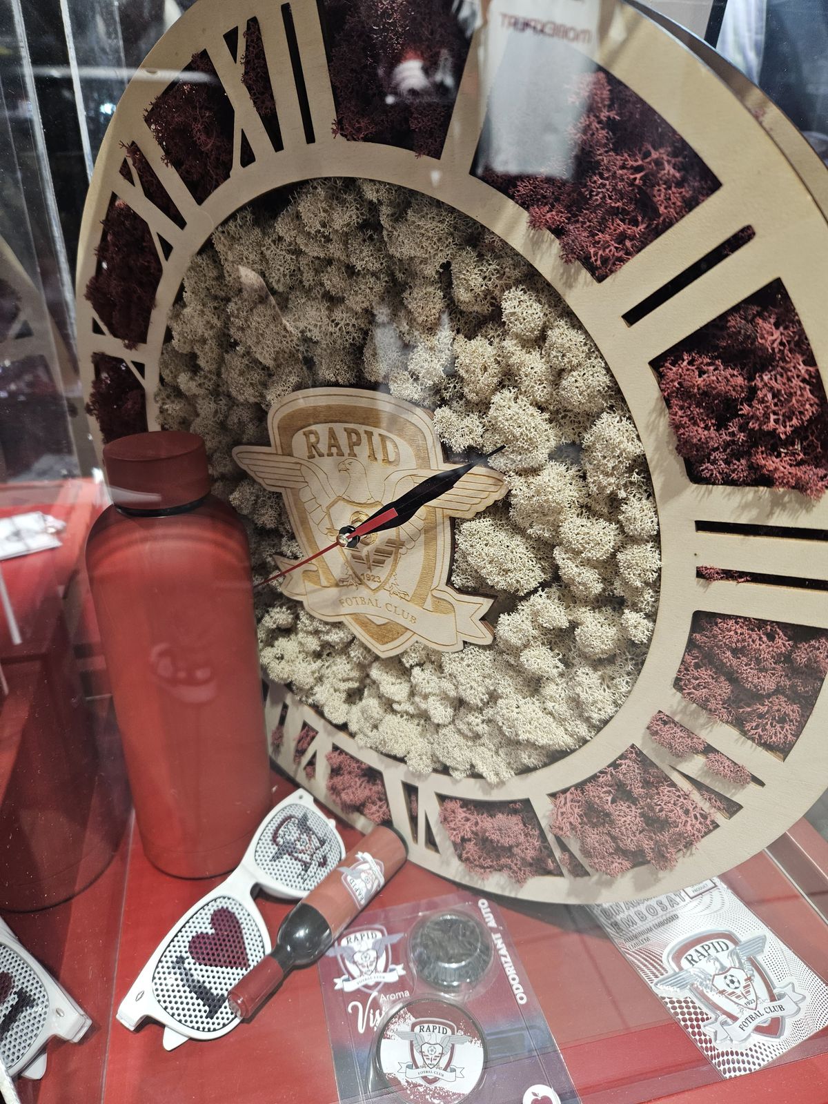 Rapid - Hermannstadt, 4 noiembrie, 2024, poze înainte de meci