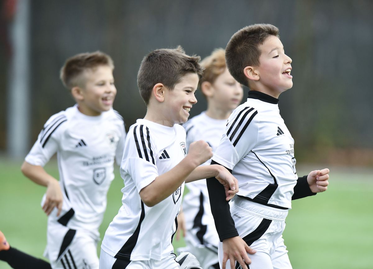 Tiago și Adrian Mutu, la meciul contra Rapidului