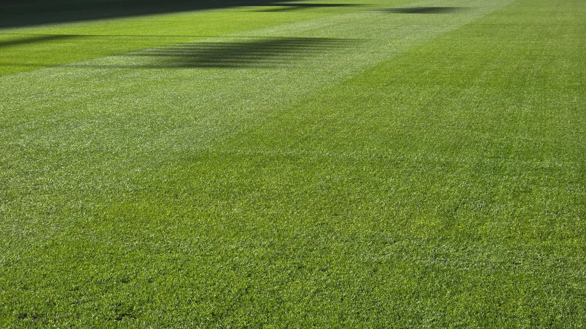 „St. Jakob-Park”, arena unde se va disputa Basel - FCSB
