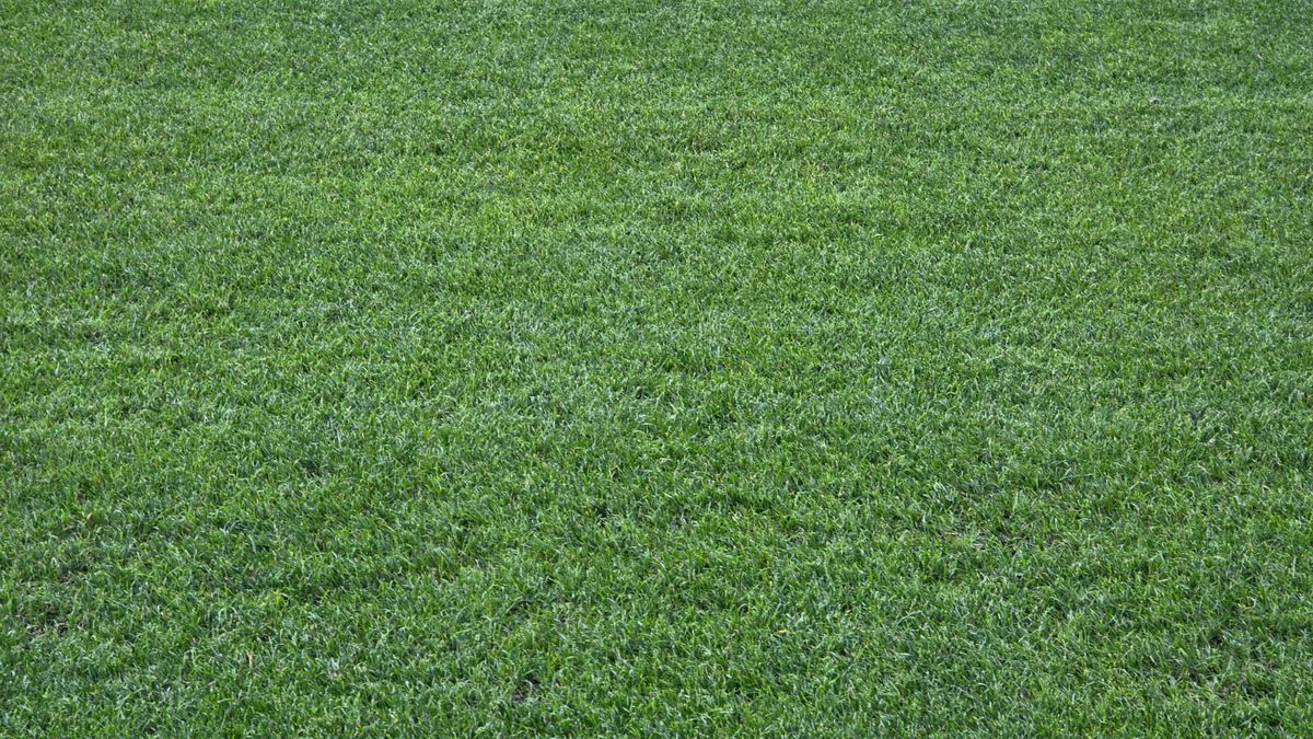 La Basel, fotbalul se joacă peste magazine » FCSB revine pe „St. Jakob-Park”, stadionul cu mall sub Tribuna 1! Locul unui moment șocant din fotbalul românesc