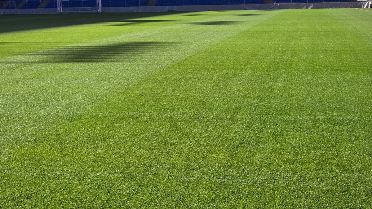 „St. Jakob-Park”, arena unde se va disputa Basel - FCSB