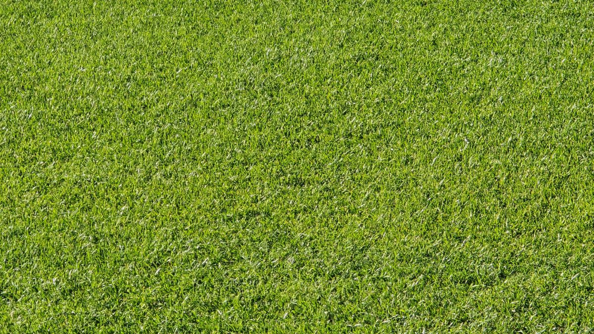 La Basel, fotbalul se joacă peste magazine » FCSB revine pe „St. Jakob-Park”, stadionul cu mall sub Tribuna 1! Locul unui moment șocant din fotbalul românesc