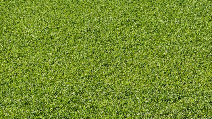 „St. Jakob-Park”, arena unde se va disputa Basel - FCSB