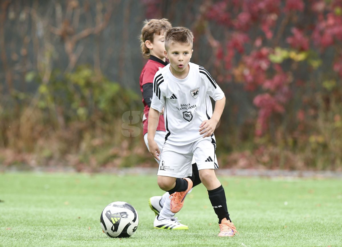 Tiago și Adrian Mutu, la meciul contra Rapidului