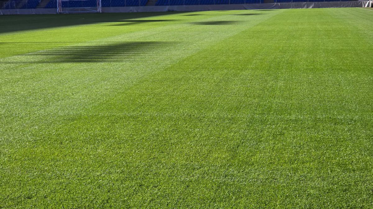 „St. Jakob-Park”, arena unde se va disputa Basel - FCSB