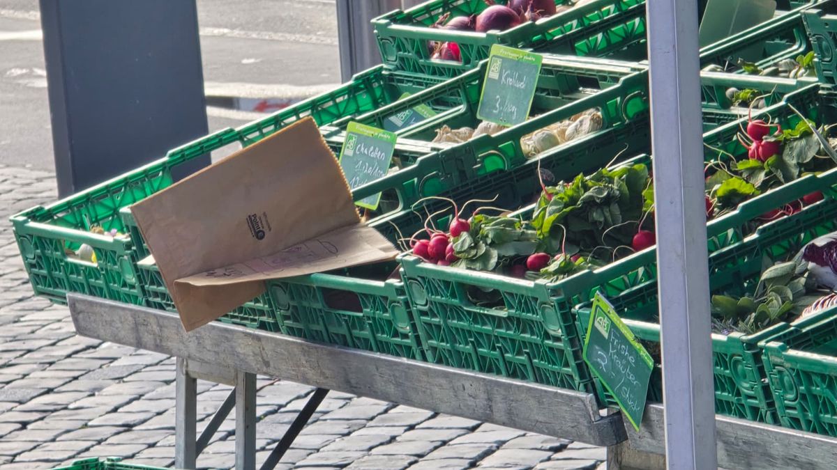 Basel e un paradox » Ce am găsit în orașul unde aterizează FCSB: salariul mediu e bulversant + un detaliu unic în lume