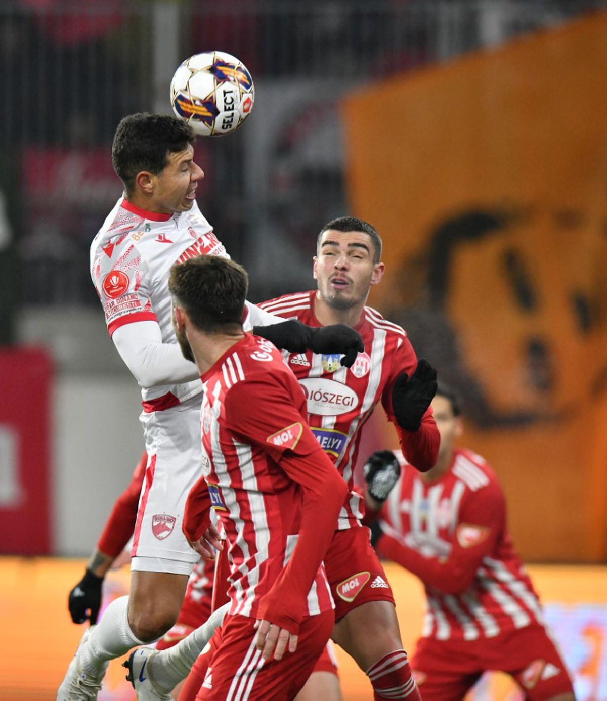 Sepsi - Dinamo (Foto: Cristi Preda)