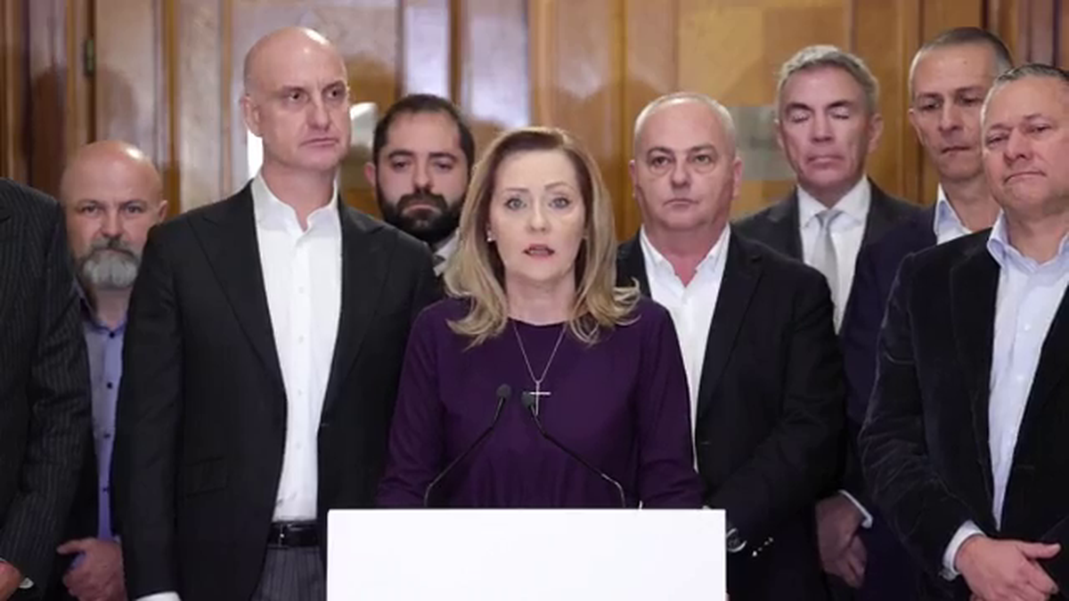 Dan Șucu a mers în Parlament și a ales între Călin Georgescu și Elena Lasconi: „Nu mai merge”