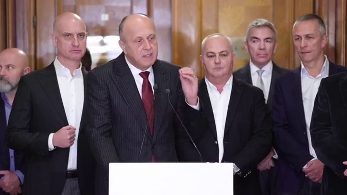 Dan Sucu - Parlament