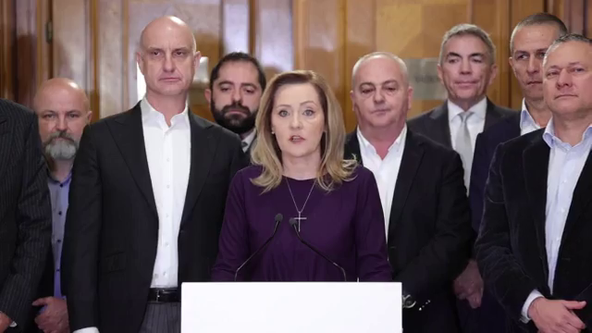 Călin Georgescu i-a răspuns lui Dan Șucu, după ce patronul de la Rapid și-a anunțat susținerea pentru Elena Lasconi