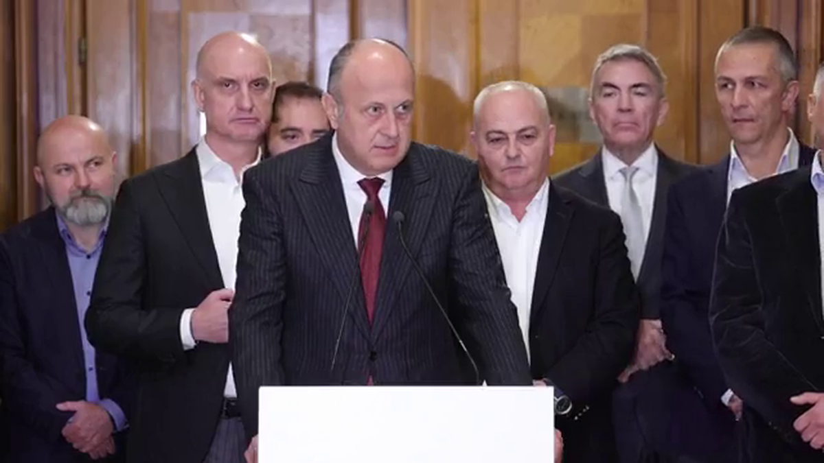 Dan Sucu - Parlament