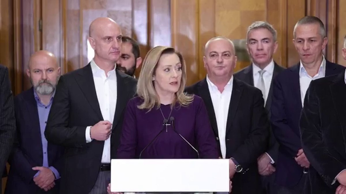 Dan Sucu - Parlament