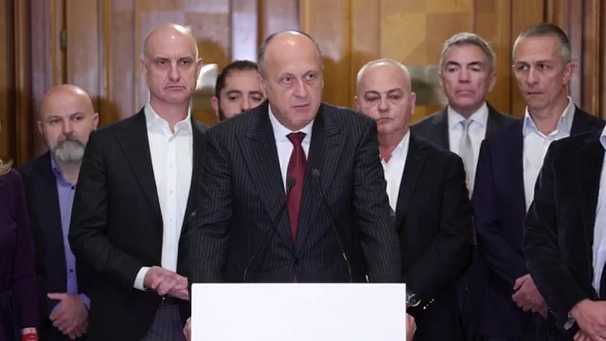 Dan Sucu - Parlament