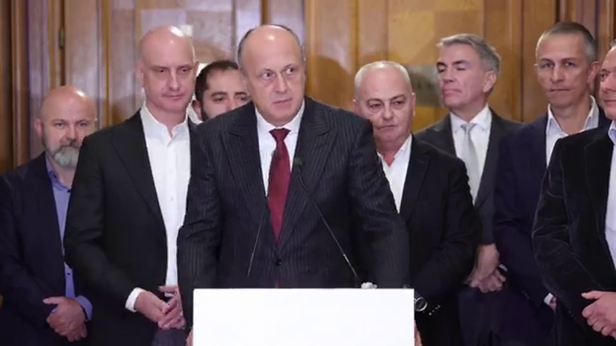 Dan Sucu - Parlament