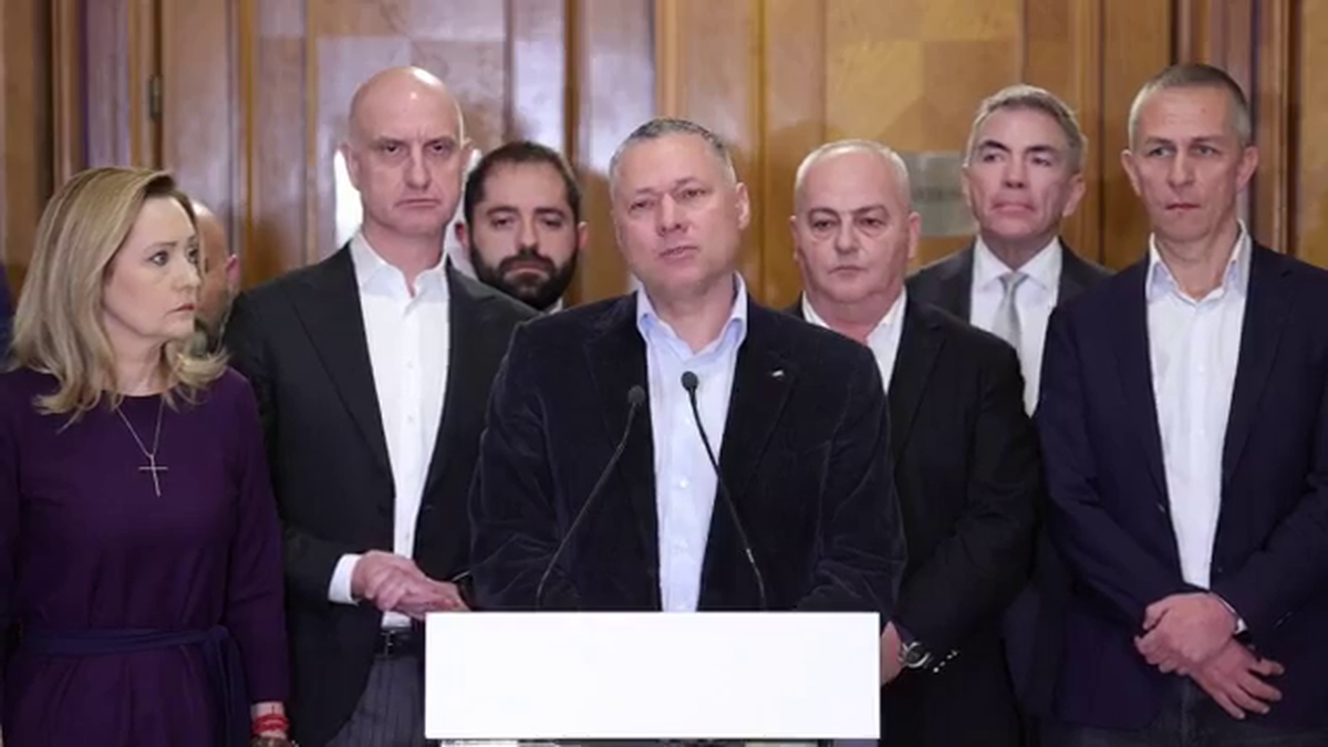 Dan Sucu - Parlament