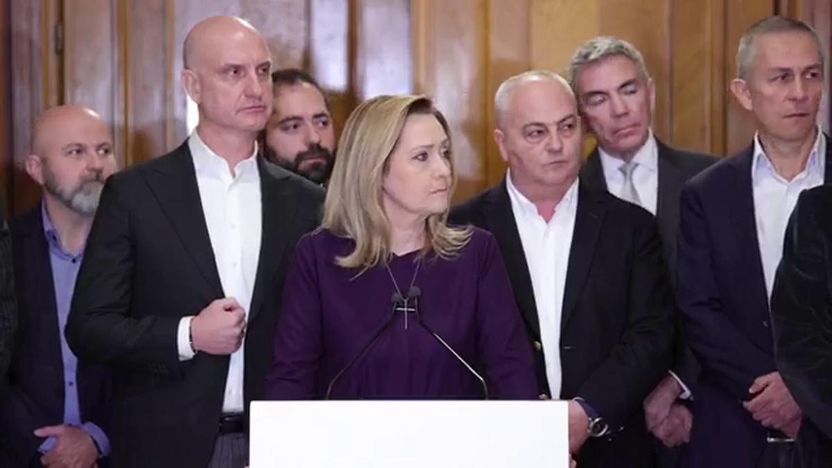 Dan Șucu a mers în Parlament și a ales între Călin Georgescu și Elena Lasconi: „Nu mai merge”