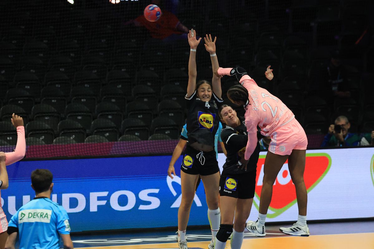 Franţa - Austria 29-17