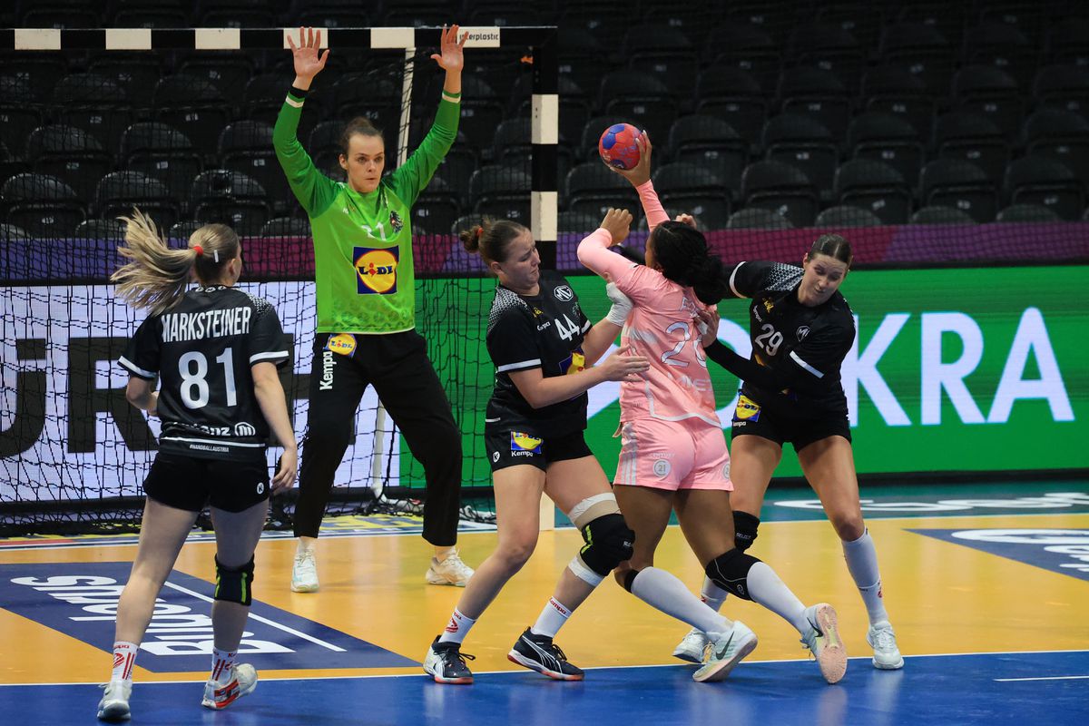 Franţa - Austria 29-17