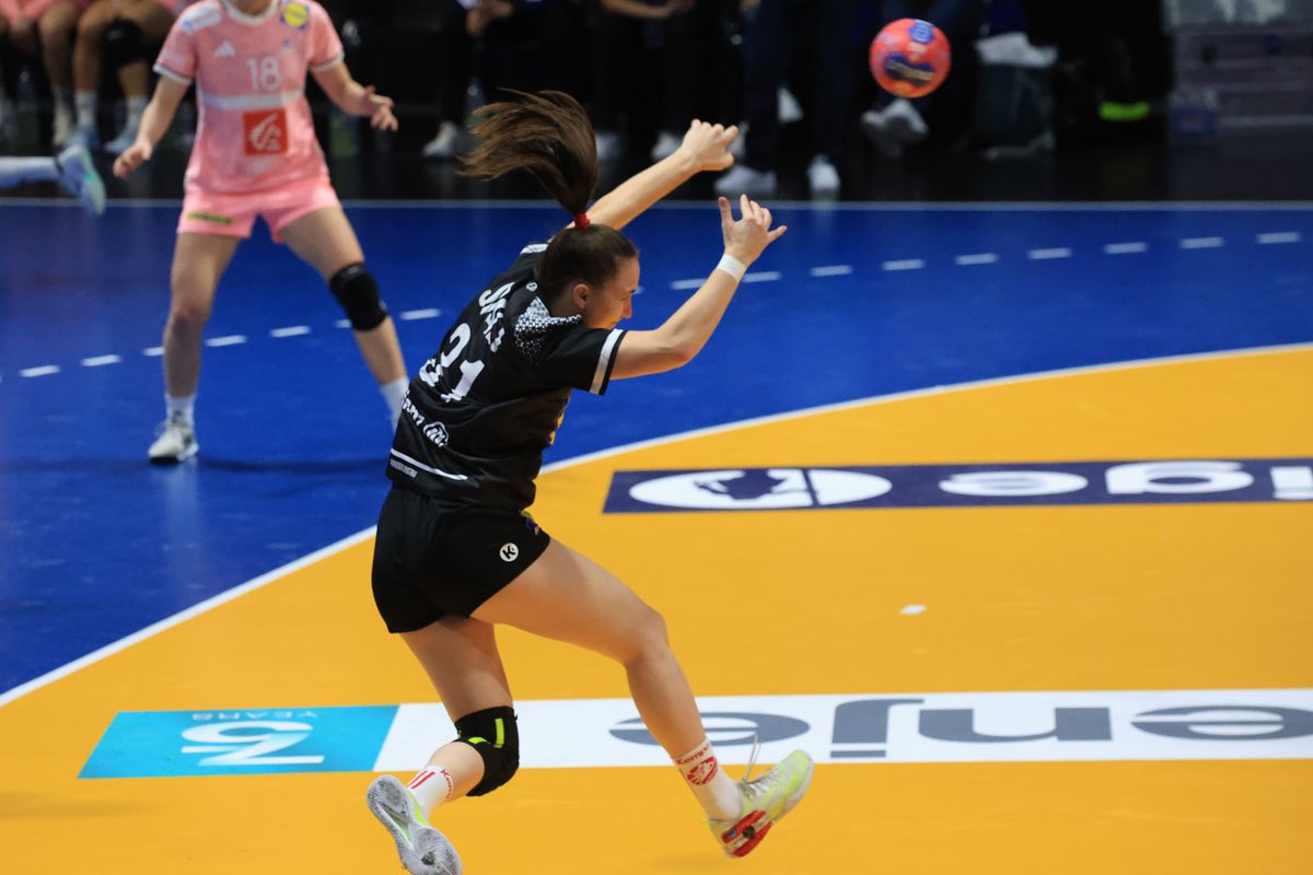 Franţa - Austria 29-17