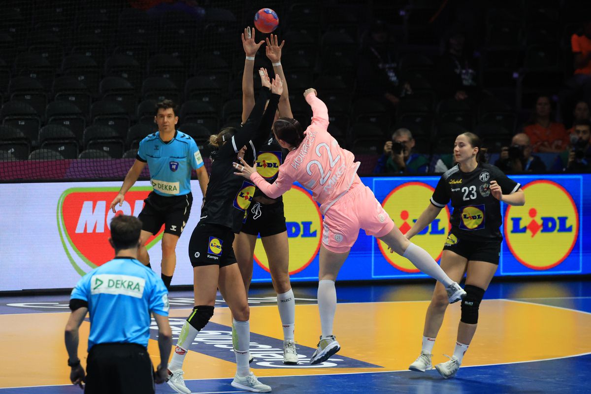 Franţa - Austria 29-17