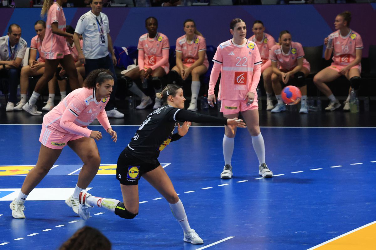 Franţa - Austria 29-17