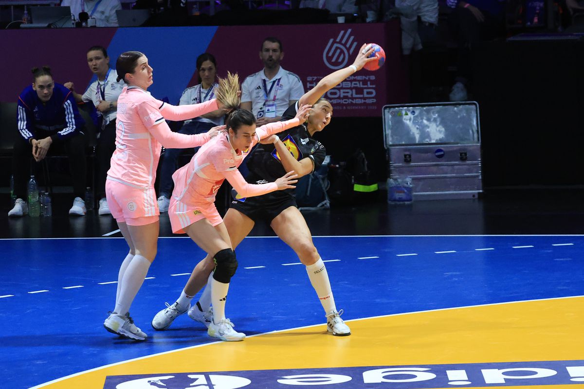 Franţa - Austria 29-17