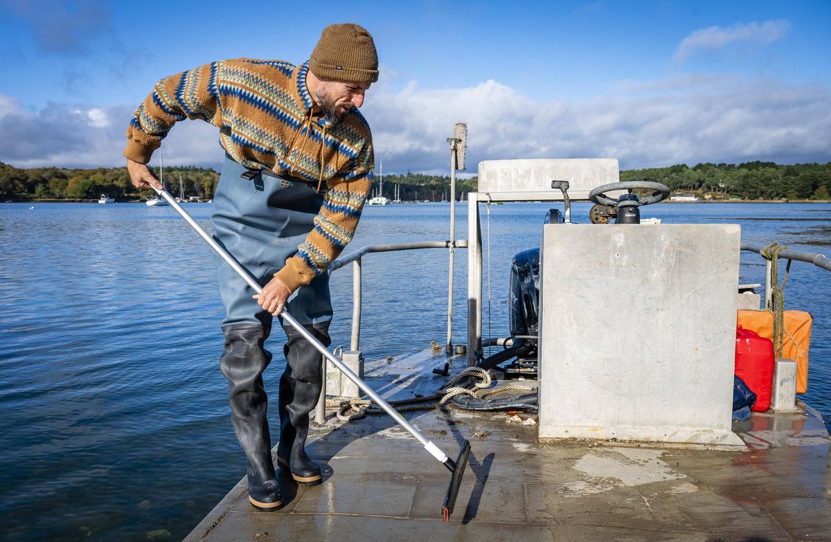 Benoit Costil se ocupă cu recoltarea de stridii