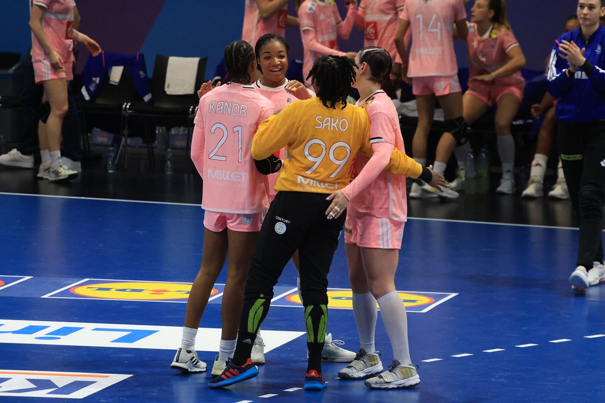 Franţa - Austria 29-17