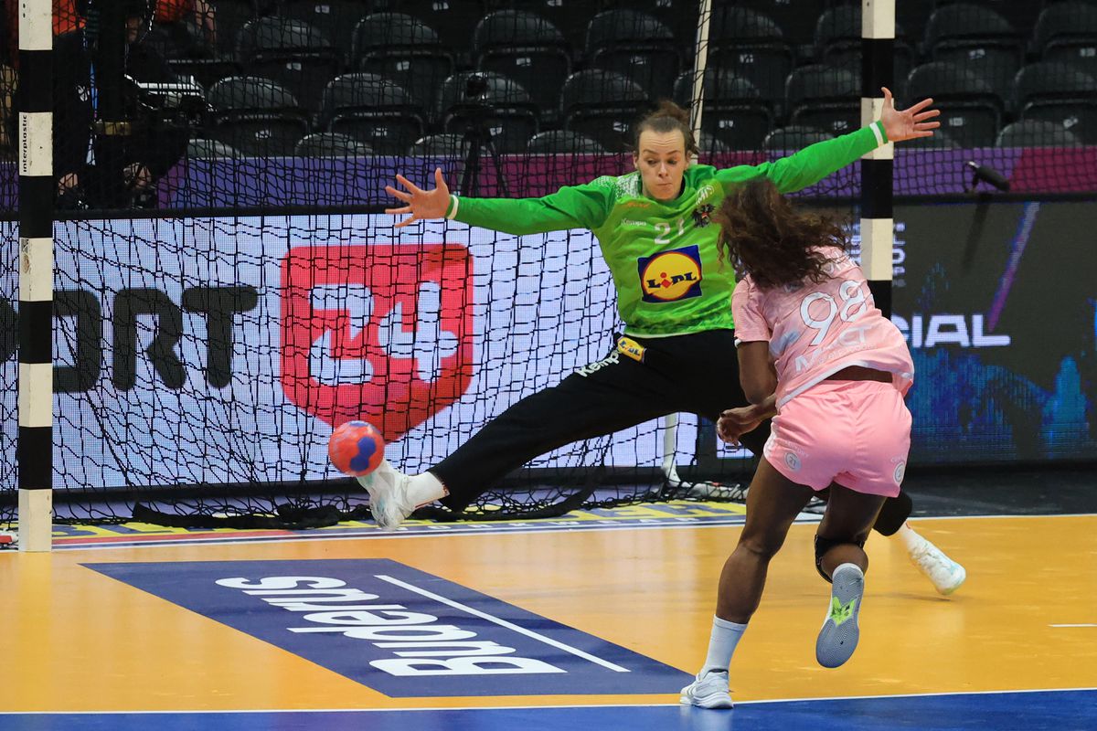 Franţa - Austria 29-17