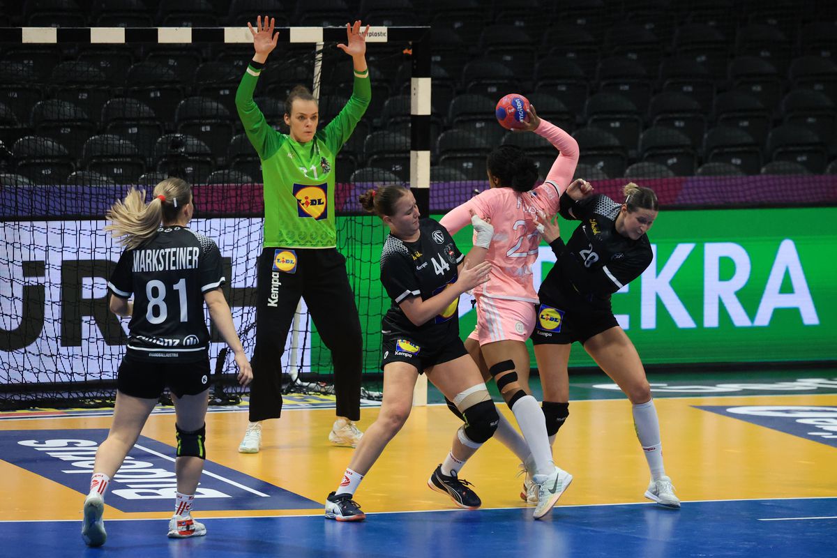 Franţa - Austria 29-17