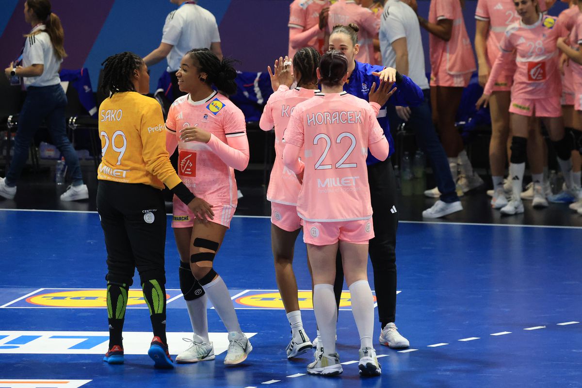 Favorita Franța a venit cu baricada la Rotterdam! A avut nevoie de o repriză pentru adaptare