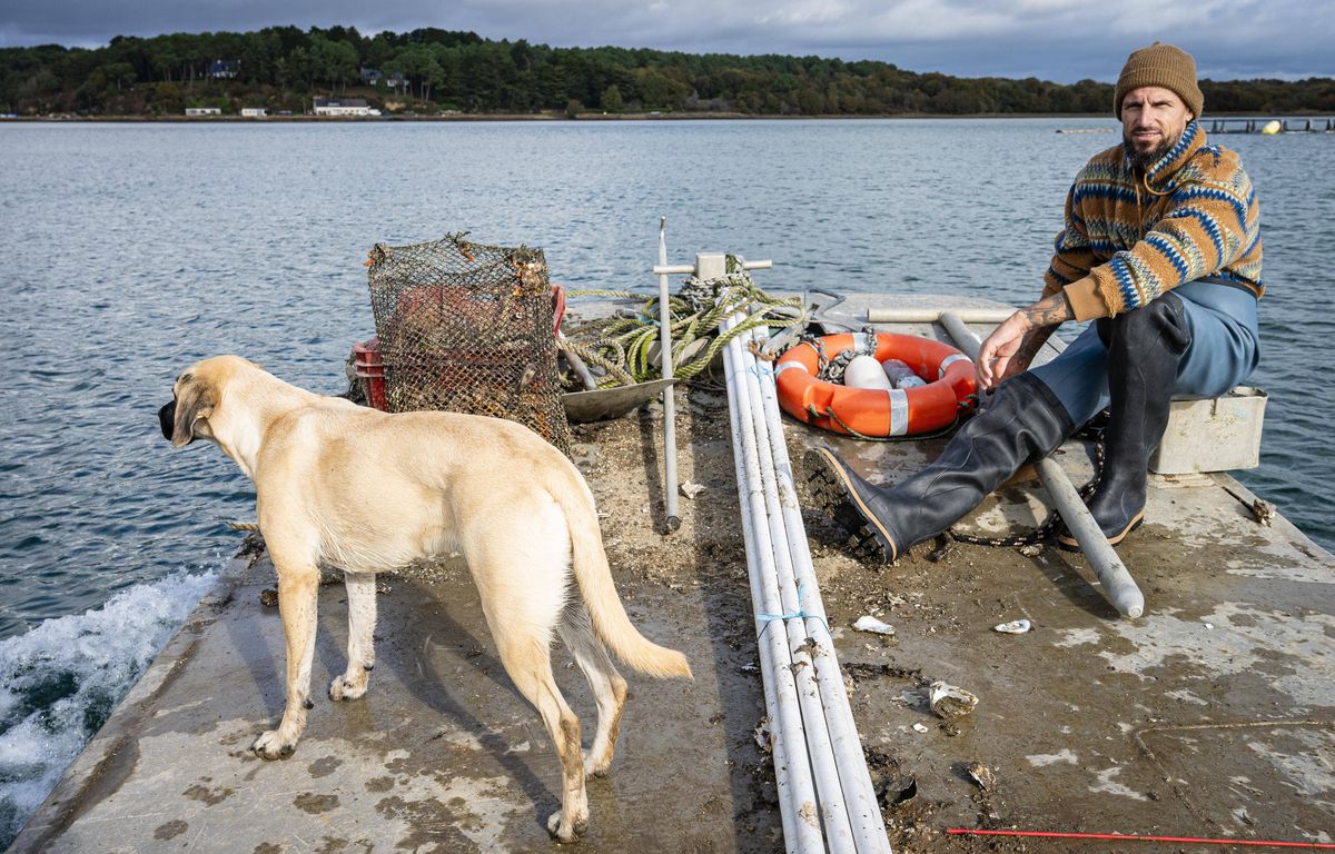 A renunțat la fotbal în 2024: fostul internațional al Franței se dedică... recoltării de stridii » „Îmi place în spatele tejghelei și la vase”