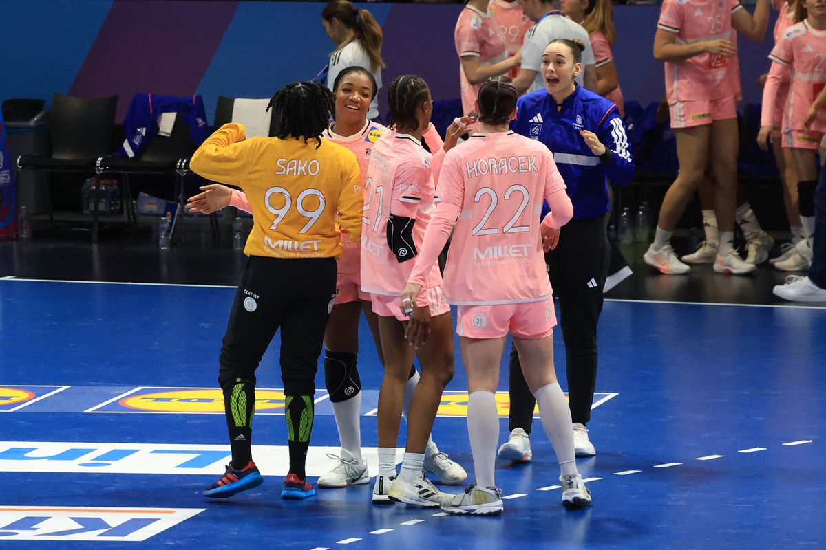 Franţa - Austria 29-17