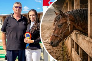 VIDEO „Nu, dom' profesor, nu loviți calul! Nu așa!” » Hipodromul tăcerii din Craiova: sportivi jigniți, animale bătute și hrănite cu mâncare mucegăită! Oficialii neagă: „Părinții se băteau între ei și chemau poliția”