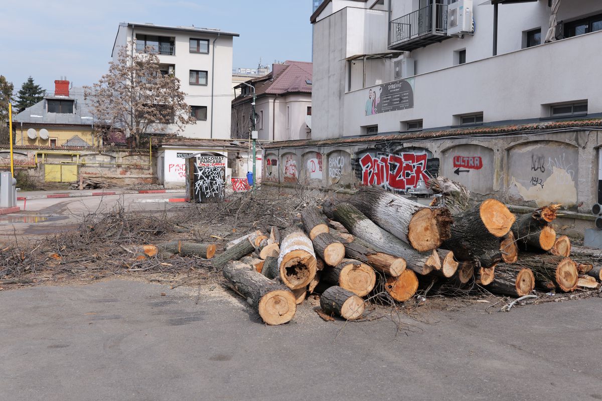 Cum arată stadionul Dinamo la o lună și jumătate de la startul lucrărilor » Cele mai noi imagini cu arena din „Ștefan cel Mare”