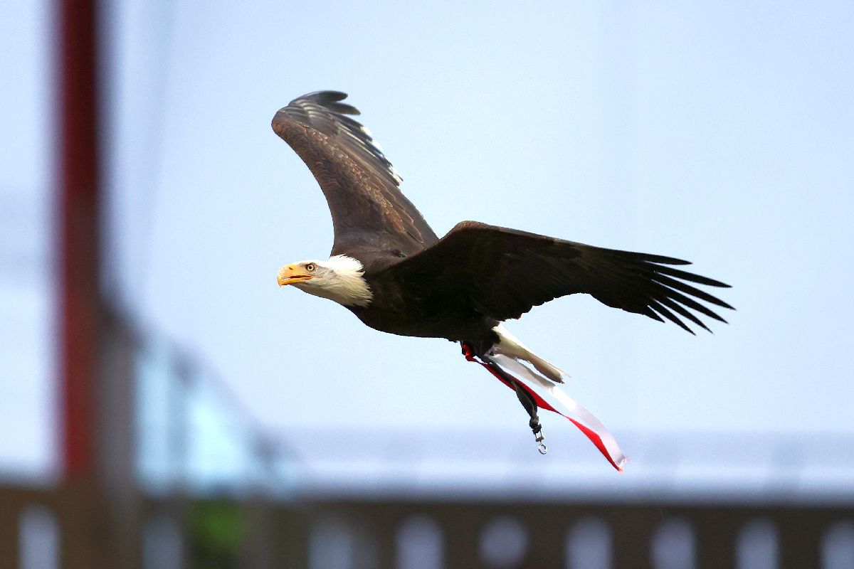 Benfica - Liverpool 1-3. „Cormoranii” câștigă în Portugalia și sunt cu un pas în semifinalele Champions League