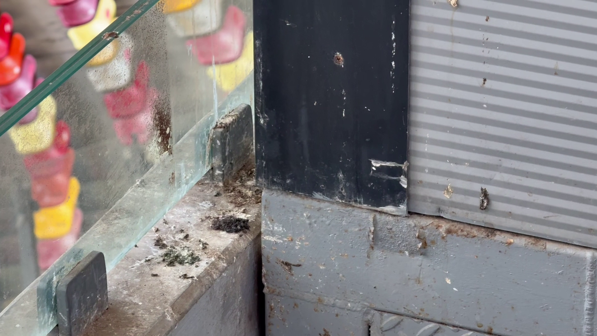 Arena Nationala - aprilie 2025