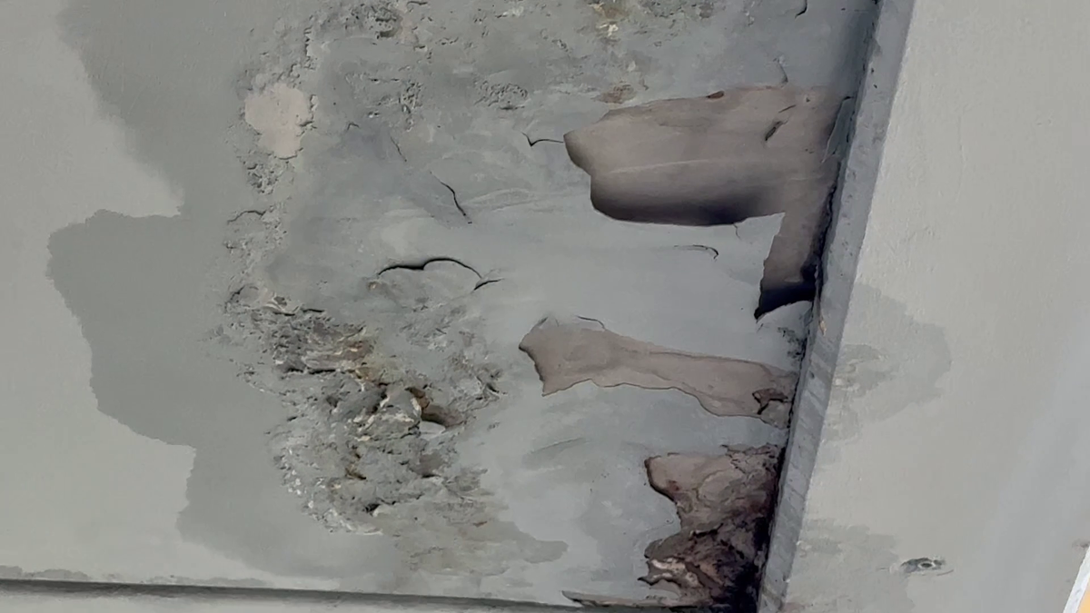 Organizatorii Neversea Kapital au anunțat oficial când are loc evenimentul pe Arena Națională