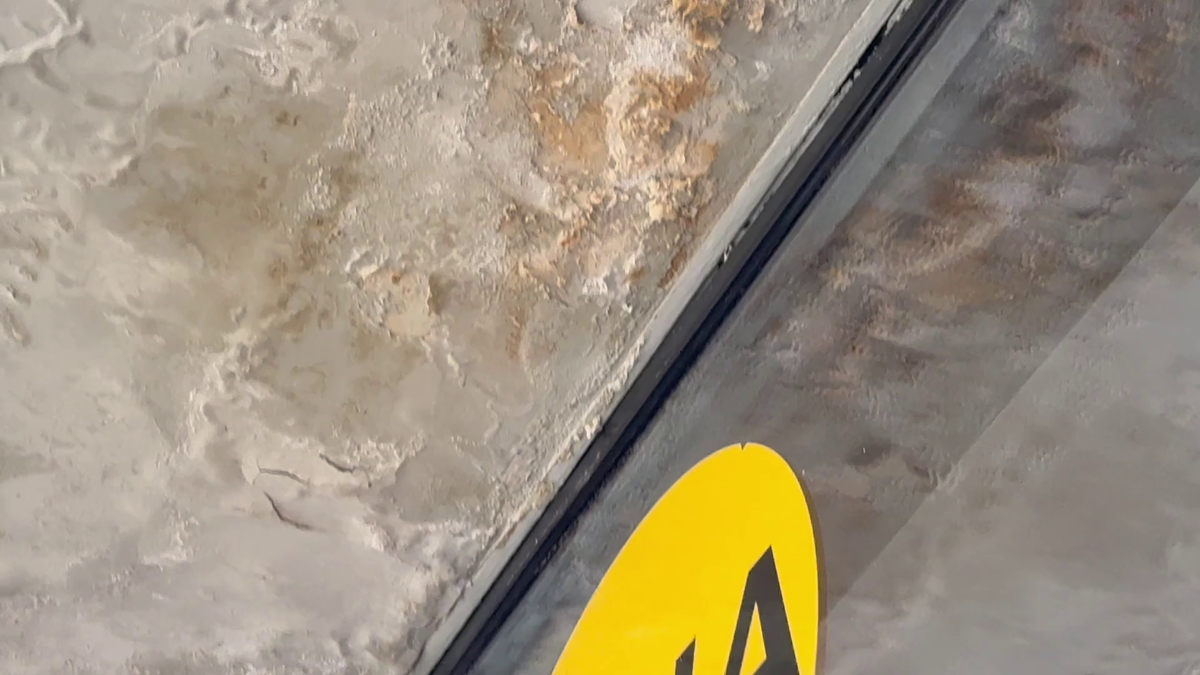 Organizatorii Neversea Kapital au anunțat oficial când are loc evenimentul pe Arena Națională