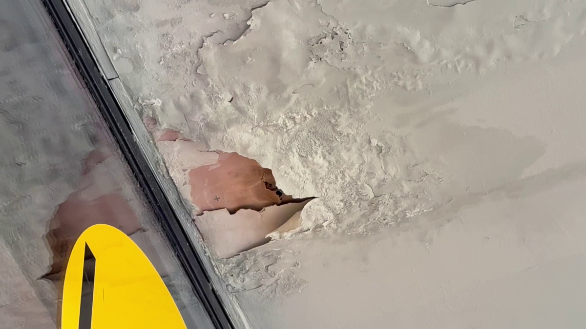 Organizatorii Neversea Kapital au anunțat oficial când are loc evenimentul pe Arena Națională