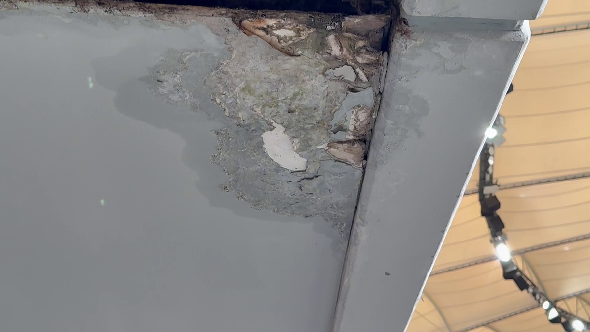 Organizatorii Neversea Kapital au anunțat oficial când are loc evenimentul pe Arena Națională