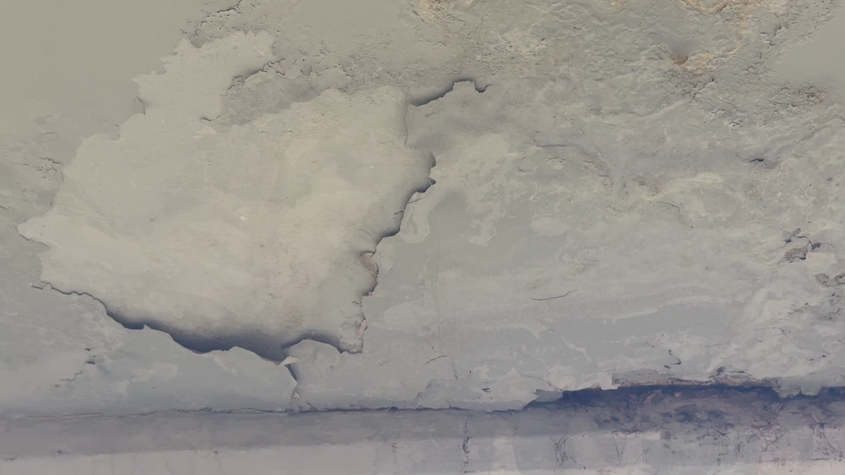 Organizatorii Neversea Kapital au anunțat oficial când are loc evenimentul pe Arena Națională