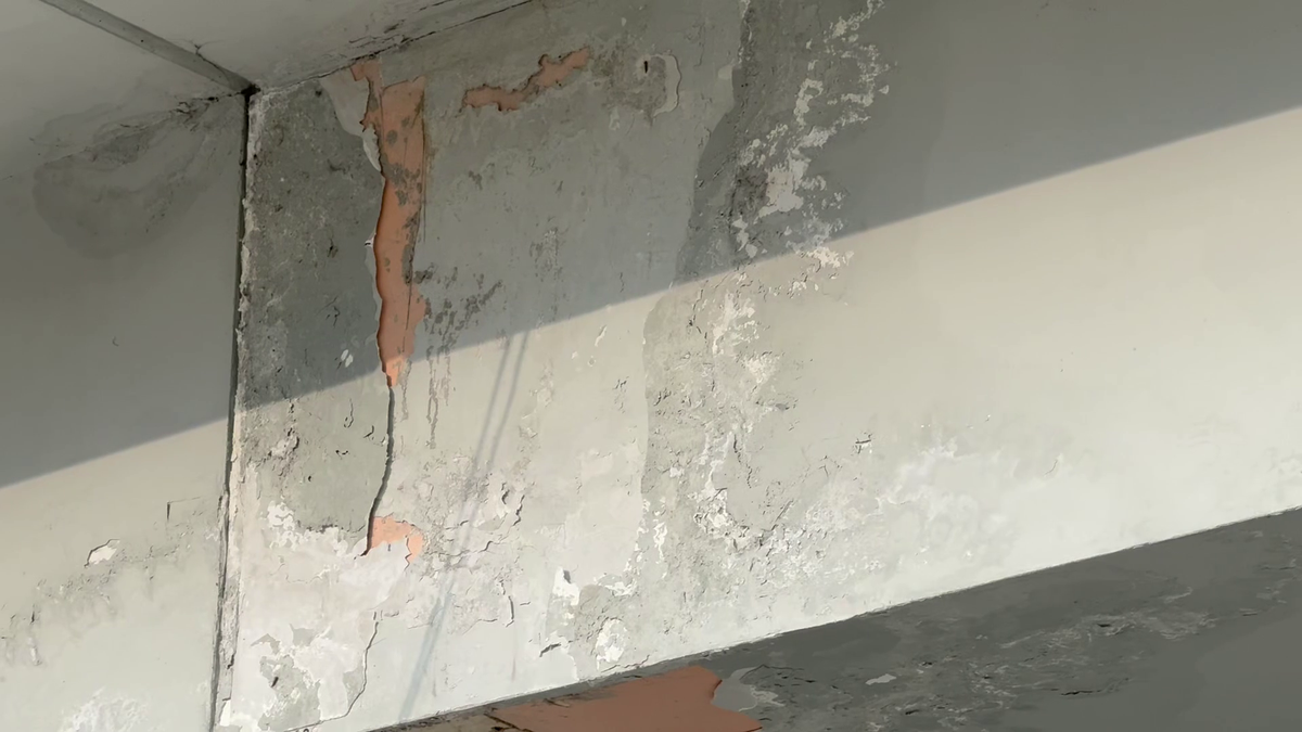 Organizatorii Neversea Kapital au anunțat oficial când are loc evenimentul pe Arena Națională